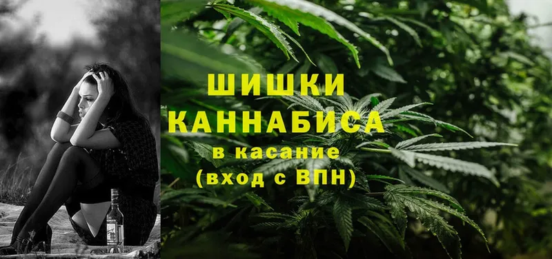 мега маркетплейс  цены наркотик  Пушкино  Шишки марихуана White Widow 